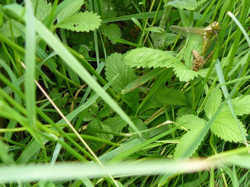 2008 05 Séjour à Martel 31